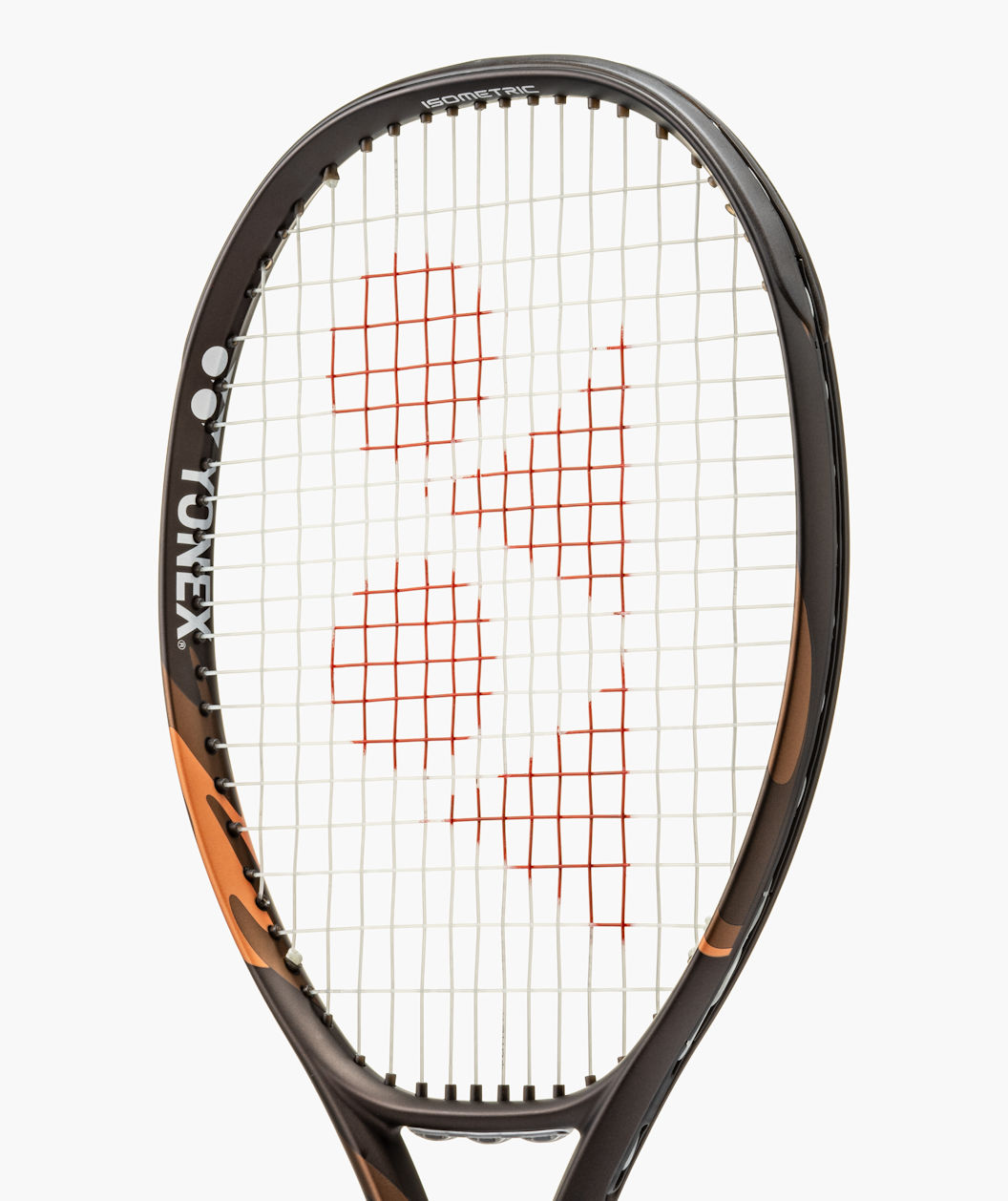 EZONE 100L (285g) 4